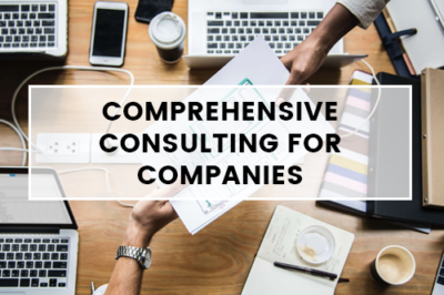 COMPREHENSIVE-CONSULTING-FOR-COMPANIES-EN